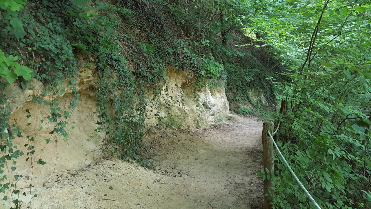 Gastsuite In Valkenburg Aan De Geul Εξωτερικό φωτογραφία